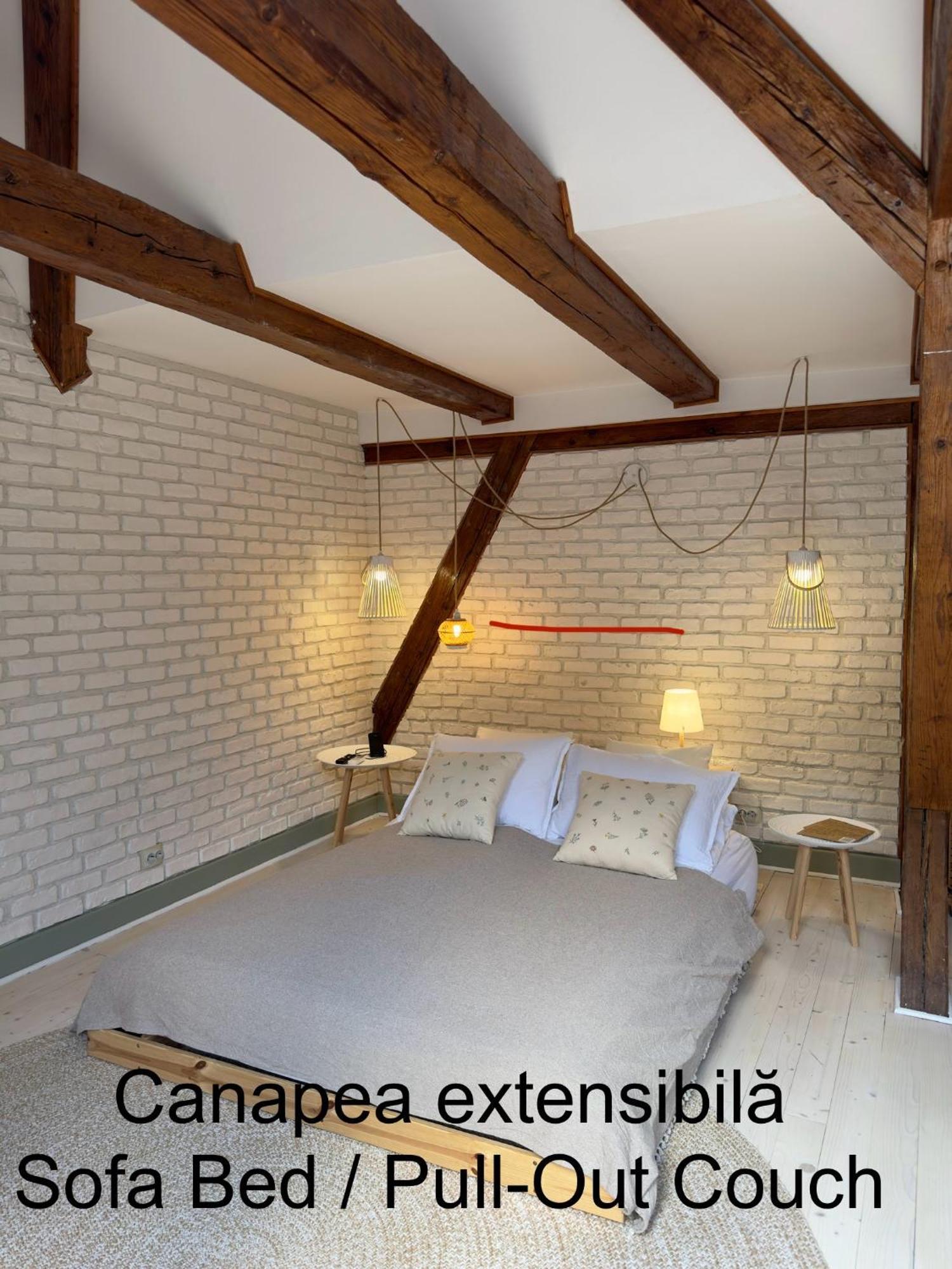 Апартаменты Belle Vista Loft Брашов Экстерьер фото